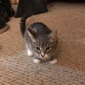 Meet your Posher, Parry